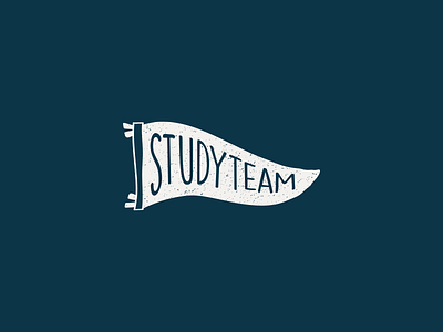 StudyTeam Flag illustraion