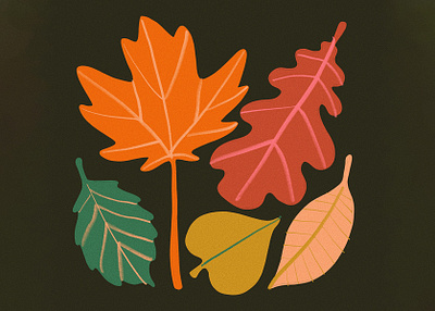 Autumn leaves art autumn design drawing earth fall flowers foliage illustration leah schmidt leahschm leahschmidt leaves nature procreate tree