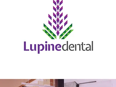 Lupine Dental