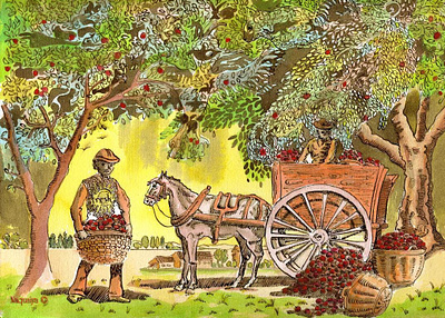 vintage apple picking farm apple farm apple picker horse and cart illustration pen and ink thanksgiving watercolor