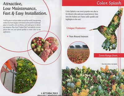 Horticulture Brochure brochure design graphic design