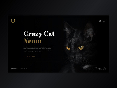 Cat adoption web concept adoption animal app branding cat cats dark ui design dog illustration interaction design kitten minimal pet adoption pets ui ui design webdesign website website design