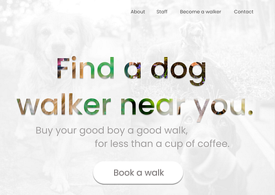 Design 17: Dog Walks 30daychallenge 30daysofwebdesign branding dailydesignchallenge design ui uidesign webdesign