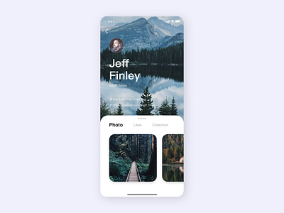 principle1 animation app design ui