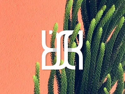 BR Butterfly Monogram Preview branding butterfly forsale icon identity initial letter logo logogram logoground logomark mark monogram name readymadelogo sale symbol