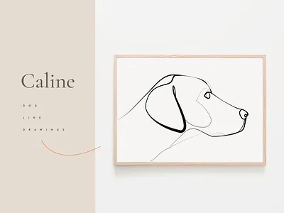 Caline - A collection of dogs illustration
