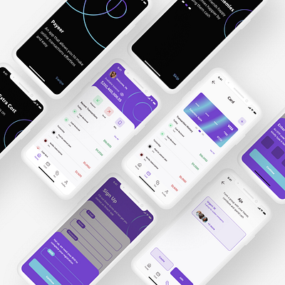 Payeeer app icon typeface typography ui ux vector