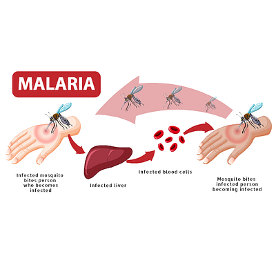 malaria ppt 1psd