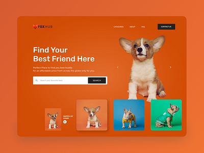 Pet House Homepage UI dog hero section homepage landing page orange orange logo pet petshop search ui ux design video web design webpage website