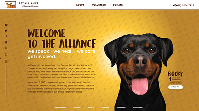 Pet Alliance of Greater Orlando RWD design minimal typography ui ux website