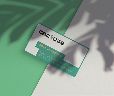 Cactuse cactus cactus illustration cactuses card green logo plants print