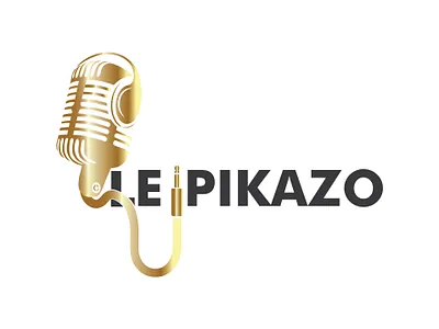 logo design branding illustration logo design luxury