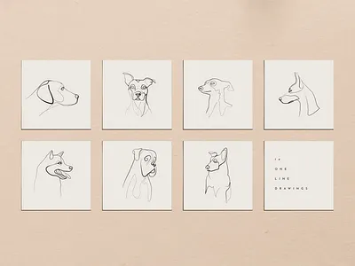 Caline: Line drawings illustration
