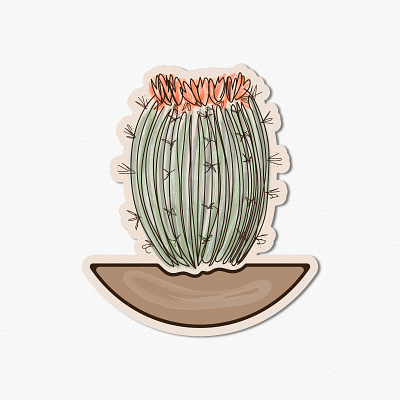 Blooming Carrel Cactus adobe adobe illustrator brush pen brushes desert design designer flower graphic graphicdesign illustraion plants tablet tablet design vector vectorart