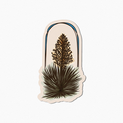 Blooming Yucca adobe adobe illustrator desert design designer graphic graphicdesign illustration illustrator sticker sticker design tablet tablet design vector vectorart