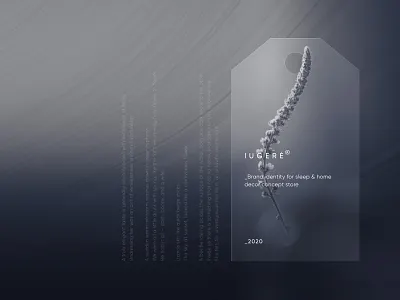 Lugeré Brand Visual Concept adobe adobe xd concept design flat minimal minimalist mockup modern typography