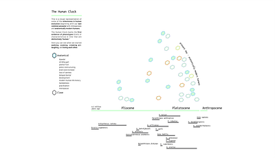 human clock light mode data visulization design education educational app graphic design information design interaction design interface interface design science science and technology typography ui ux vector visual design