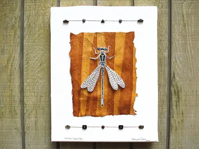 Damselfly | Mixed Media mixed media scratchboard