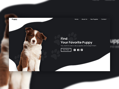 Puppy Petshop And Adobtion adobtion pet petshop puppy ui ui design