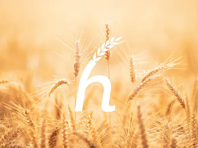 Dough Logo Design art brand identity branding corporate branding graphic design illustration logo logo design typography vector