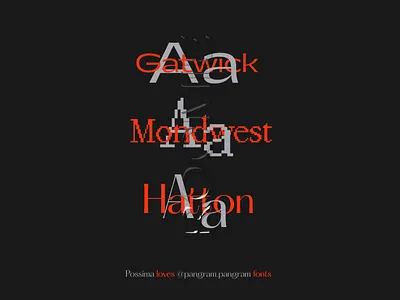 Roomie Fashion Gallery Typography Guidelines animation brand branding brandmanual cocept design fashion font identity logotype modern type typeface typography