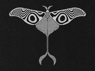 MOTH 2 art design geometric art graphic design illustration