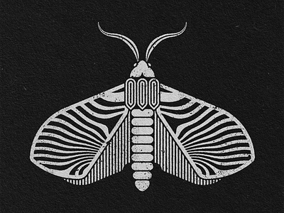 MOTH 1 art design geometric art graphic design illustration