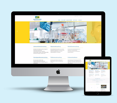 Labor NÖ Webdesign web design wordpress