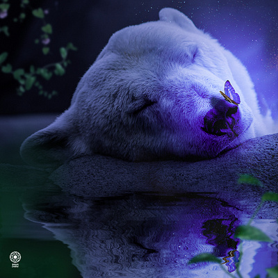 Purple polar bear animeal artist butterfly butterfly logo design logoart nepal panda panda poster photo photo magic photography photomanupulation photos photoshop pidus poster posterdersing save the planet