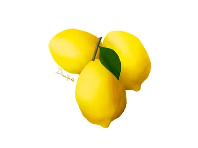 Lemon fruit illustration illustration procreate procreate art
