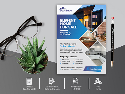 Apollo Home Sale Company Marketing Flyer banner design branding design brochure corporate flyer flyer flyer design flyer template graphic design graphics design real estate flyer