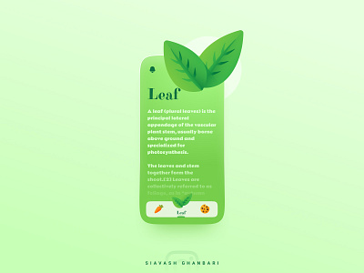 The Leaf carrot cookie figma gradient iconly