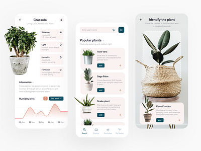 App-assistant home greenhouse care app design design app diagram mobile app design mobile design monitoring plant plantapp statistics ui ux ui uxdesign