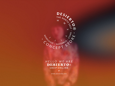 Desierto branding typogaphy