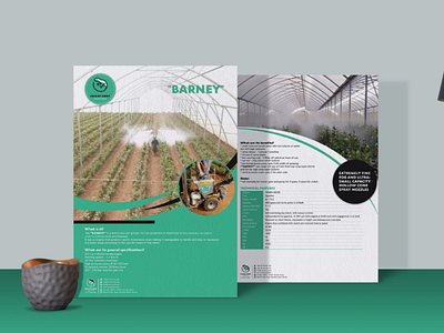 Smartcrop Solutions Flyer Design