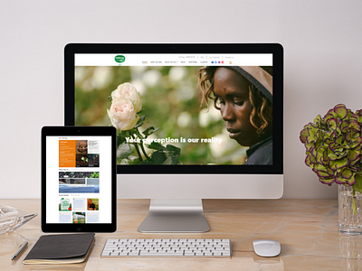 Amiran Website Redesign