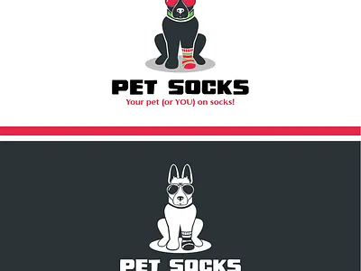 pet socks 1