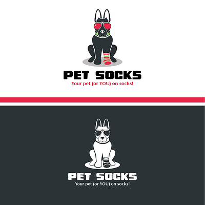 pet socks 1
