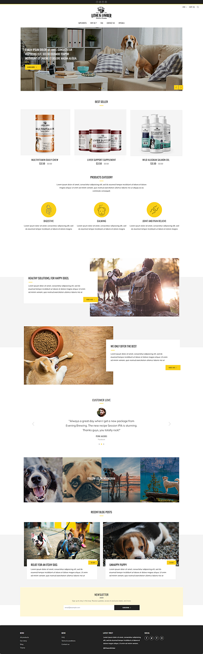 Lithe and Limber design ui web webdesign website design