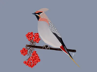 Winter Bird Illustration bird illustration birds illustration design illustrations nature illustration persian designer popular designs procreate art winter illustration