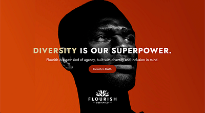 Diversity is our Superpower. brand identity