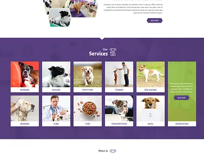 Pet Care
