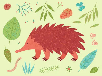 Echidna animal australia australian echidna echidna animal endemic exotic leaves spikes vector wild wild animal