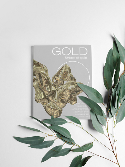 Shape of Gold 3d art book book cover cover design editorial editorial art editorial design gold graphicdesign magazine