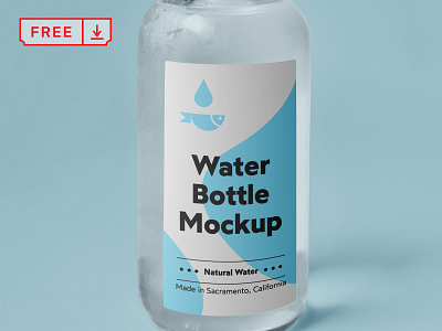 Free Small Glass Bottle Mockup bottle branding download free glass identity psd