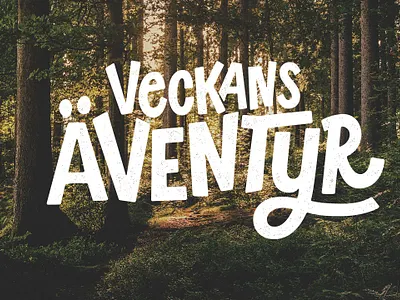 Lettering artworks for Friluftsfrämjandet camping handcraftedtype handlettering handmadetype lettering letteringartist letteringartwork outside