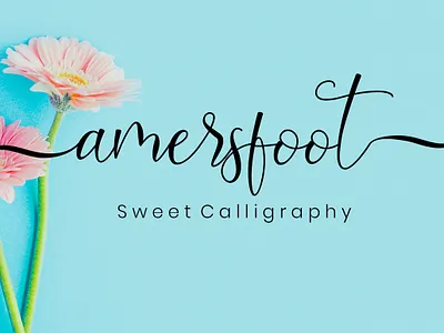 Amersfoot Script Calligraphy branding design film font font font script font wedding monoline