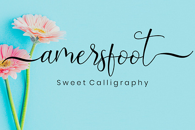 Amersfoot Script Calligraphy branding design film font font font script font wedding monoline