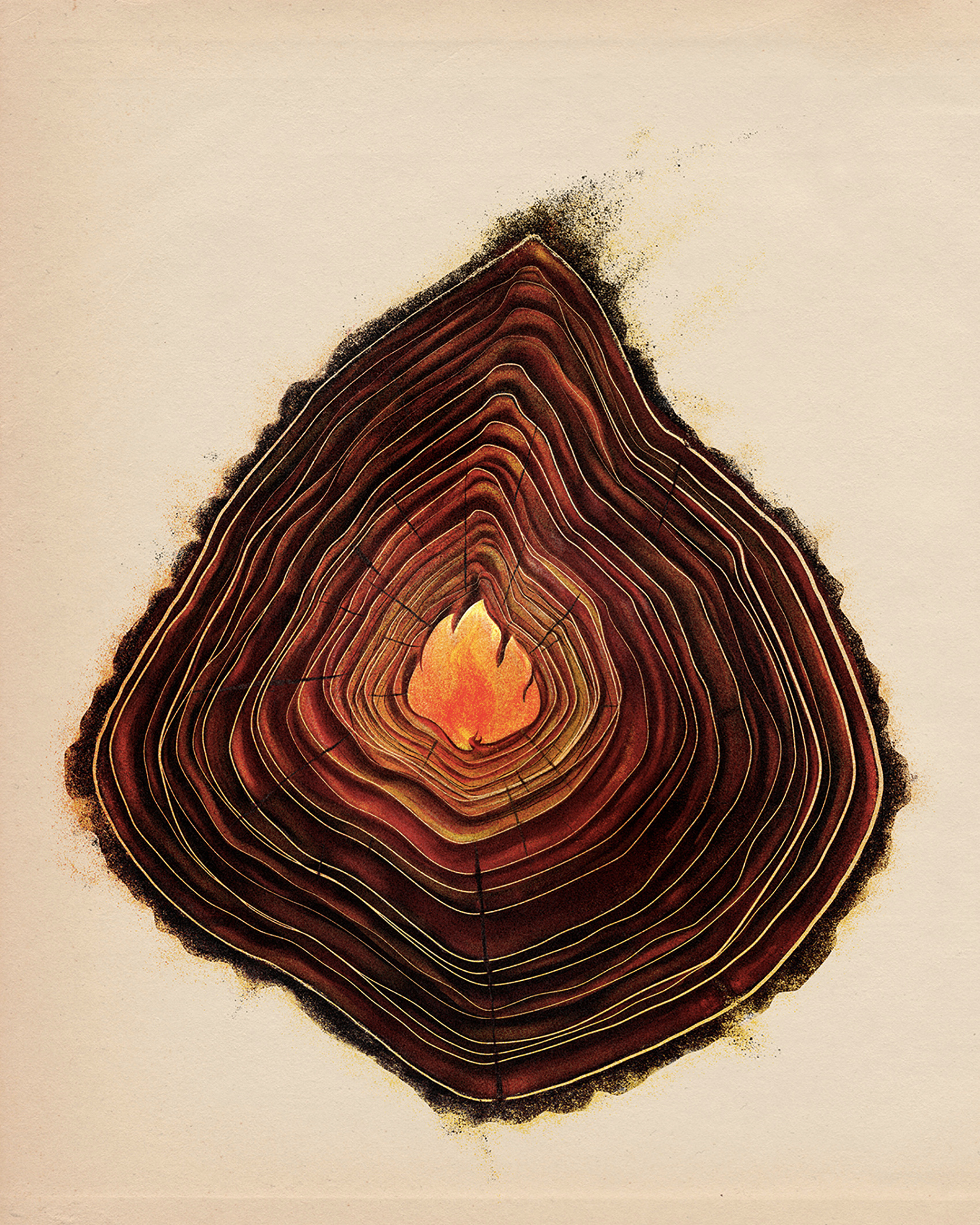 Example of Tracking the Growth Rate of Wildfires