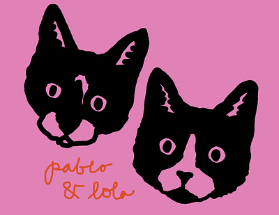 Pablo and Lola animals art cat cats design drawing graphic graphic design illustration ipad kitten kittens kitty leah schmidt leahschm leahschmidt pets procreate tuxedo